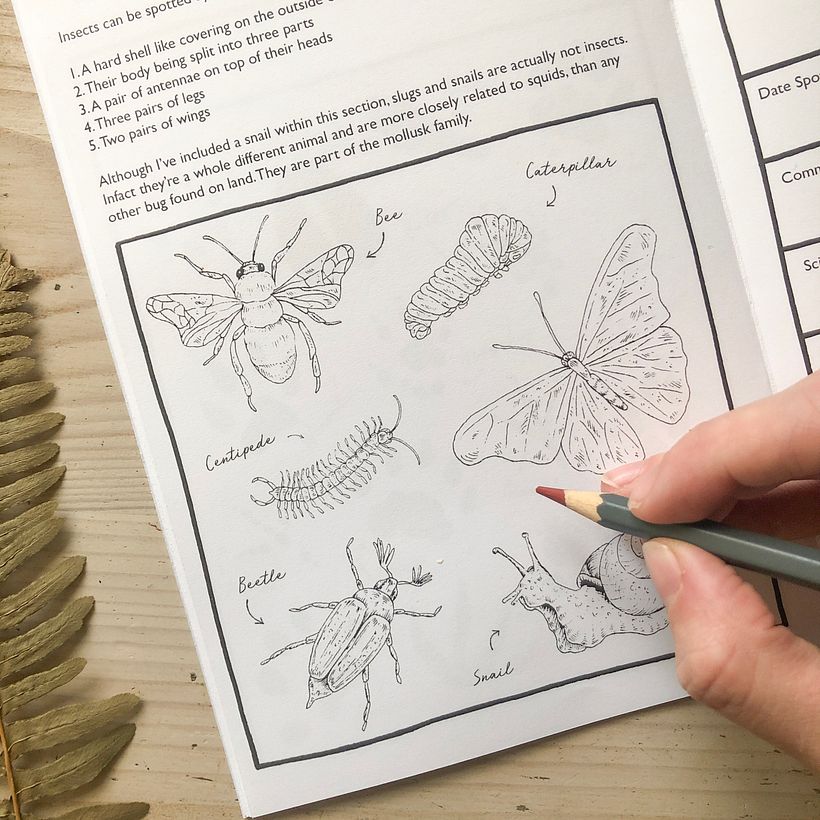 Activity Book