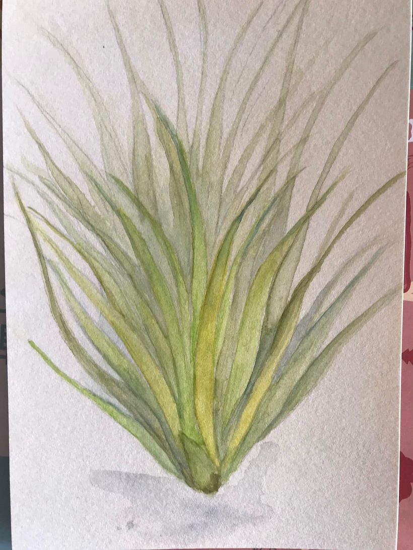 My project for course: Botanical Sketchbooking: A Meditative Approach 1