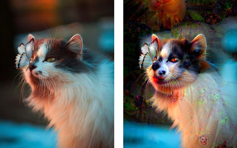 How the Deep Dream function affects an image from Unsplash (original image: Karina Vorozheeva).