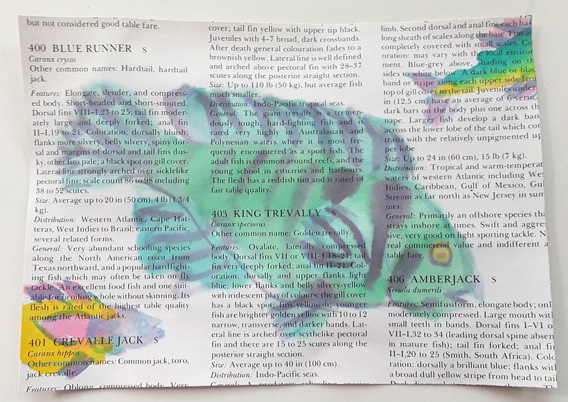 My project for course: Creative Watercolor Sketching for Beginners 2