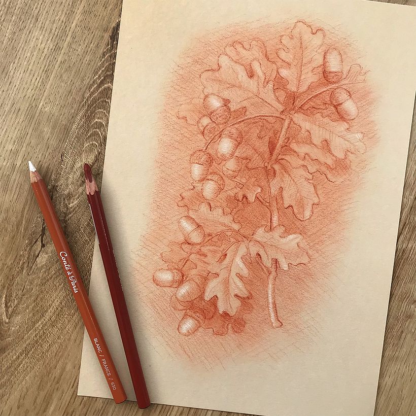 A botanical study.