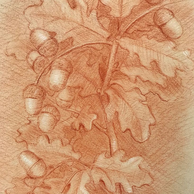 A botanical study. Rapprochement.
