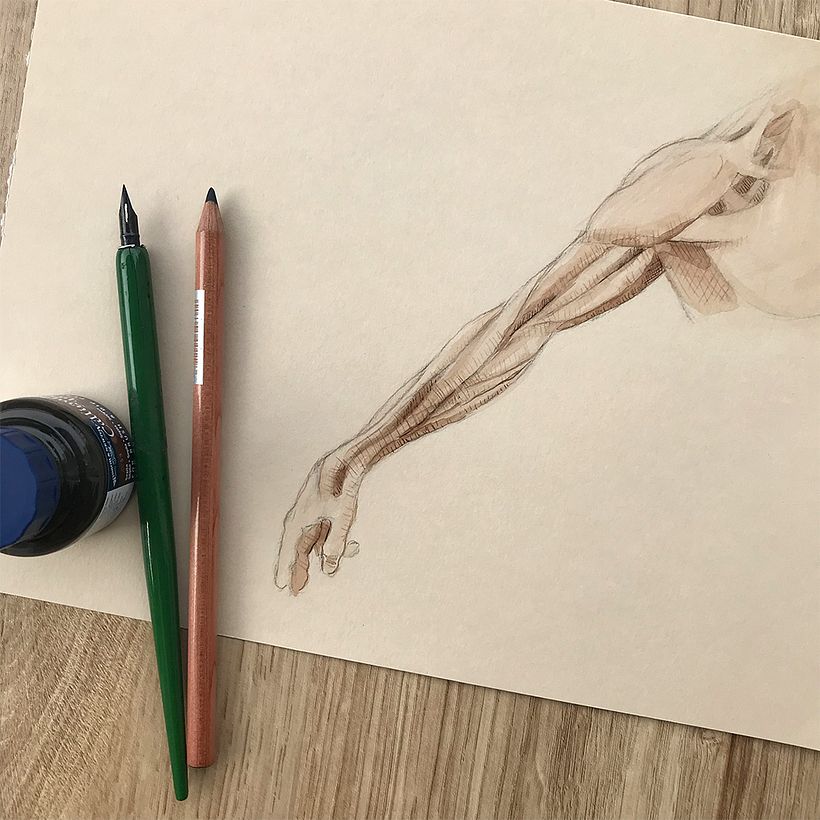 Anatomical study.