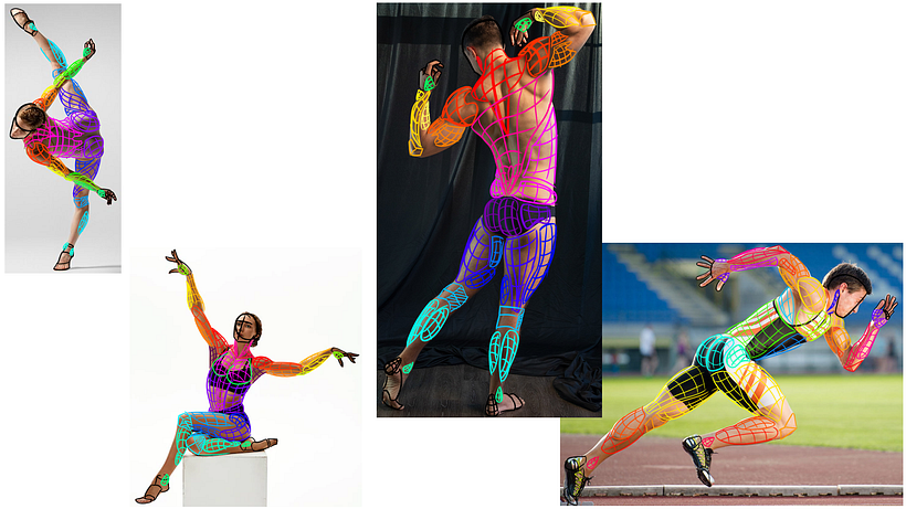 Unit 2: Muscle anatomy of real people