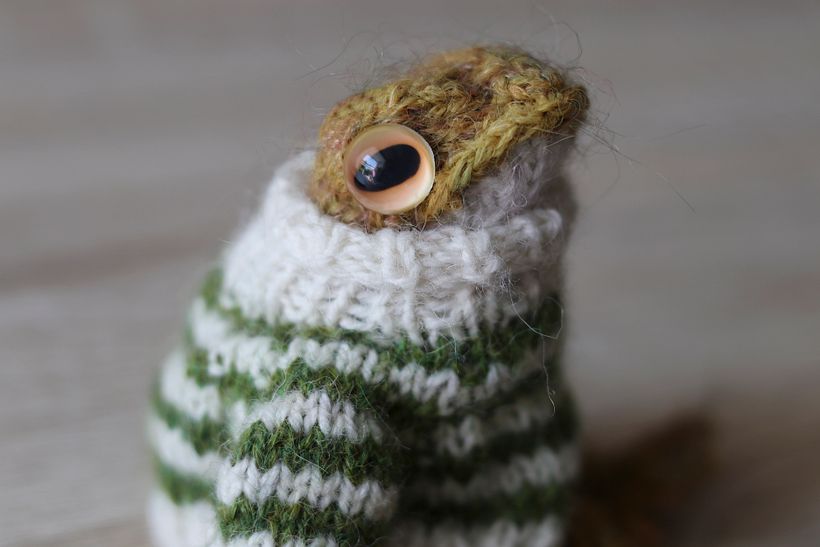 Frog knitting 13