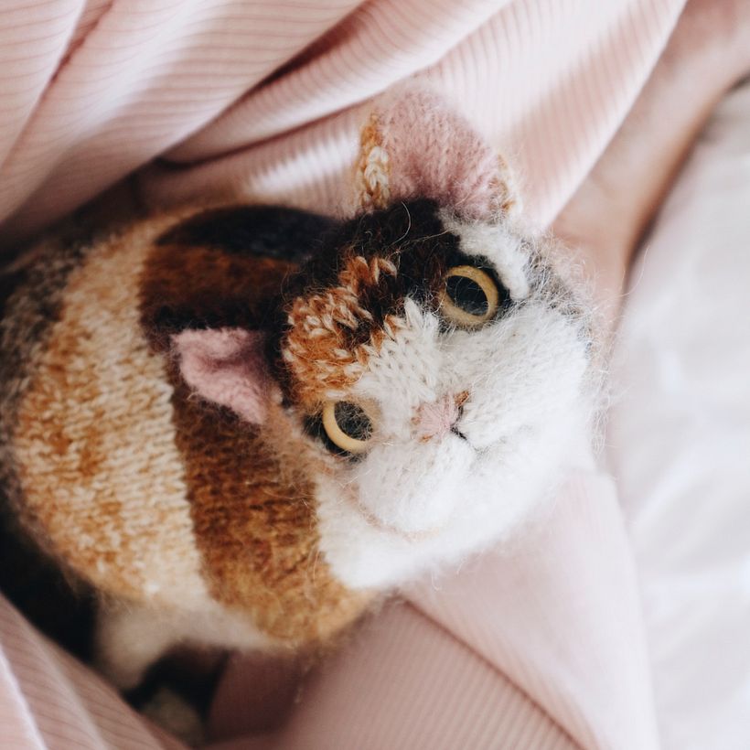 Characterful Cats - Diseño de personajes 3D