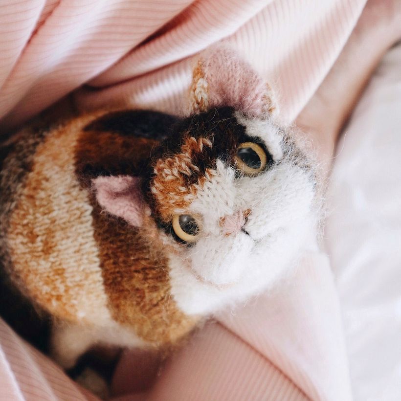 Characterful Cats - Diseño de personajes 3D