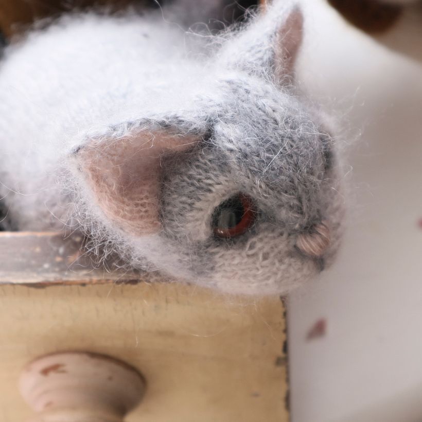 Characterful Cats - Diseño de personajes 3D