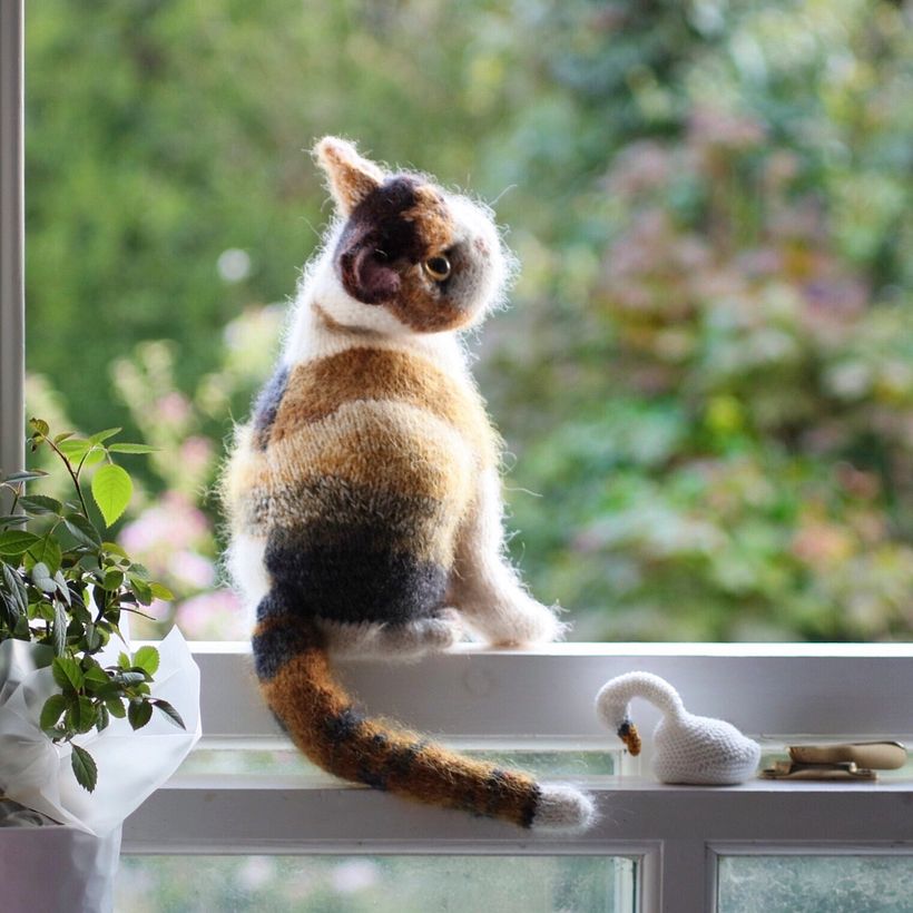 Characterful Cats - Diseño de personajes 3D