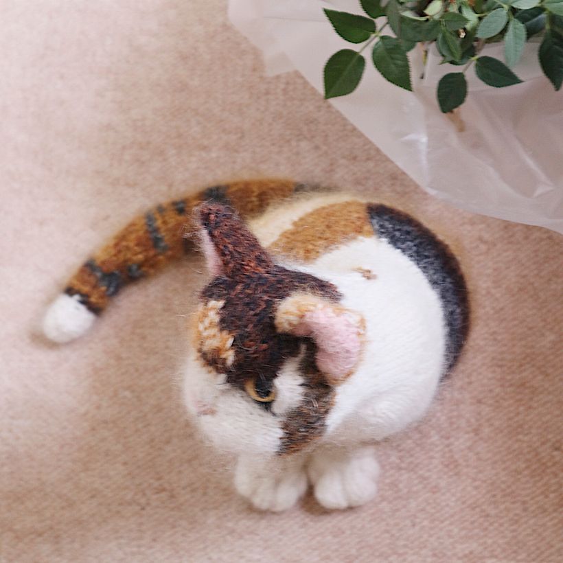 Characterful Cats - Diseño de personajes 3D