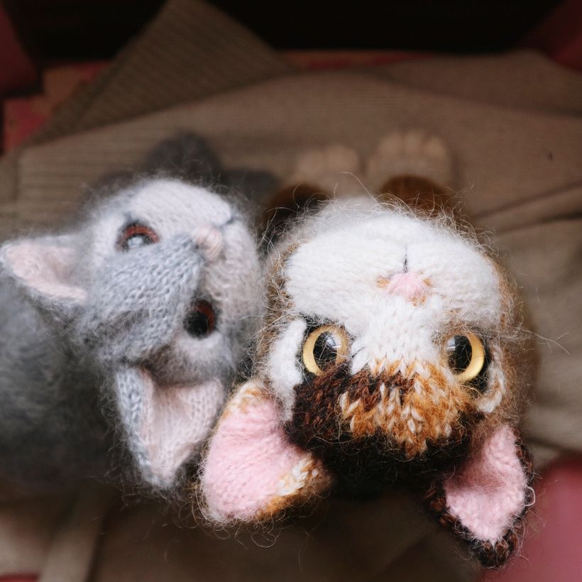 Characterful Cats - Diseño de personajes 3D