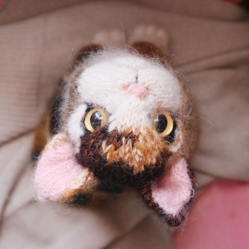Characterful Cats - Diseño de personajes 3D