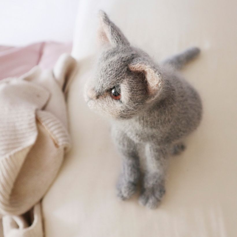 Characterful Cats - Diseño de personajes 3D