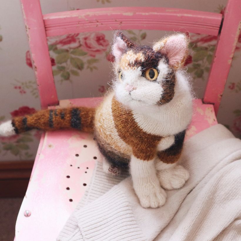 Characterful Cats - Diseño de personajes 3D