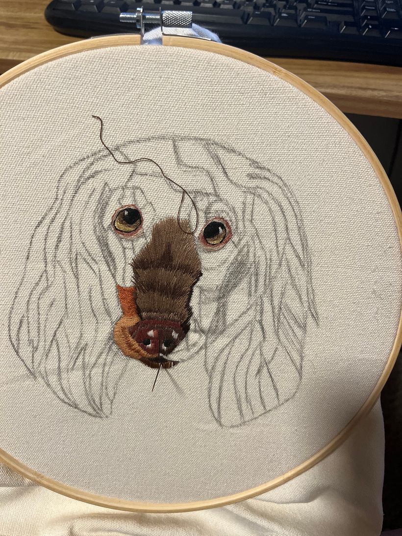 My project for course: Needle Painting for Beginners 2