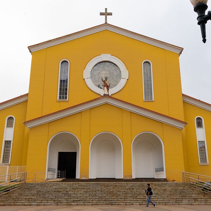 Um pato amarelo na cidade de Pato Branco 5