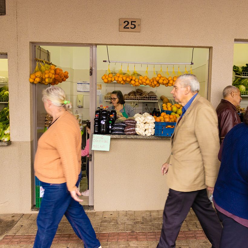 Um pato amarelo na cidade de Pato Branco 6