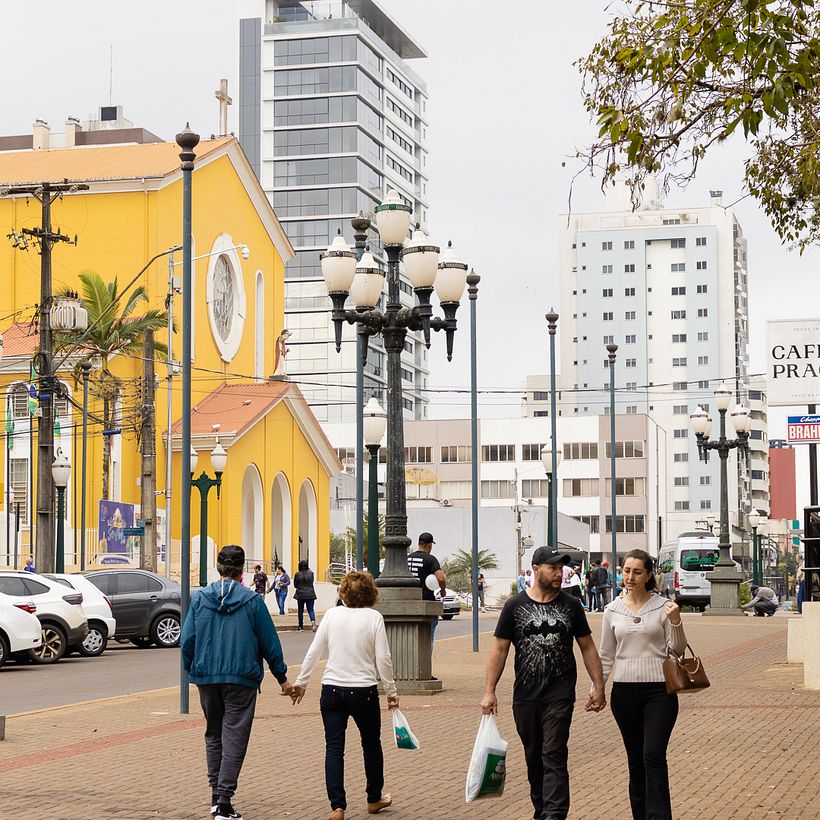 Um pato amarelo na cidade de Pato Branco 7