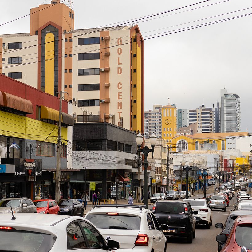 Um pato amarelo na cidade de Pato Branco 9