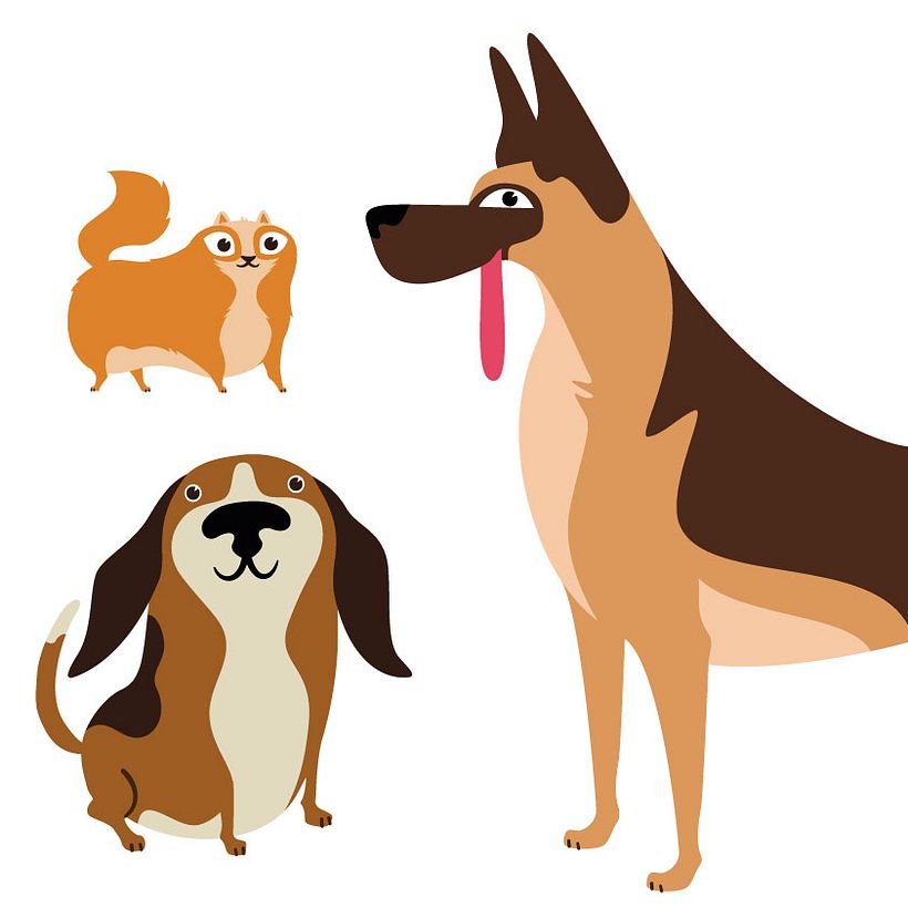 My project for course: Playful Animal Illustration with Photoshop 5