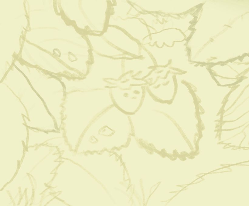 Sketch