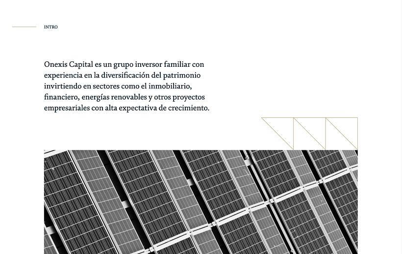 Proyecto: Onexis (Maquetación Web) - Diseño Web
