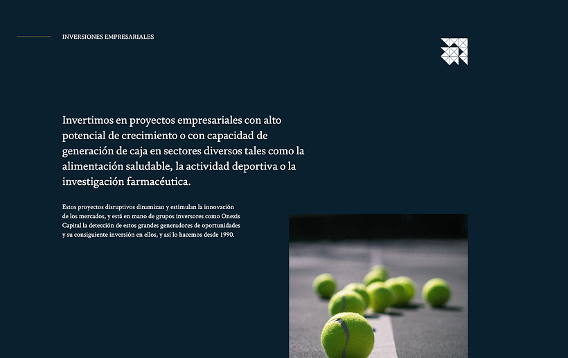 Proyecto: Onexis (Maquetación Web) - Diseño Web