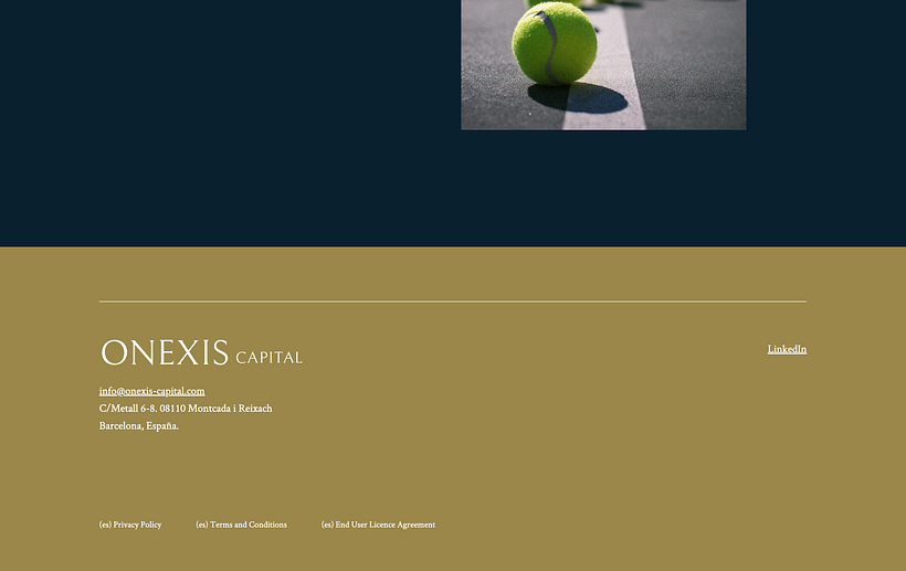 Proyecto: Onexis (Maquetación Web) - Diseño Web