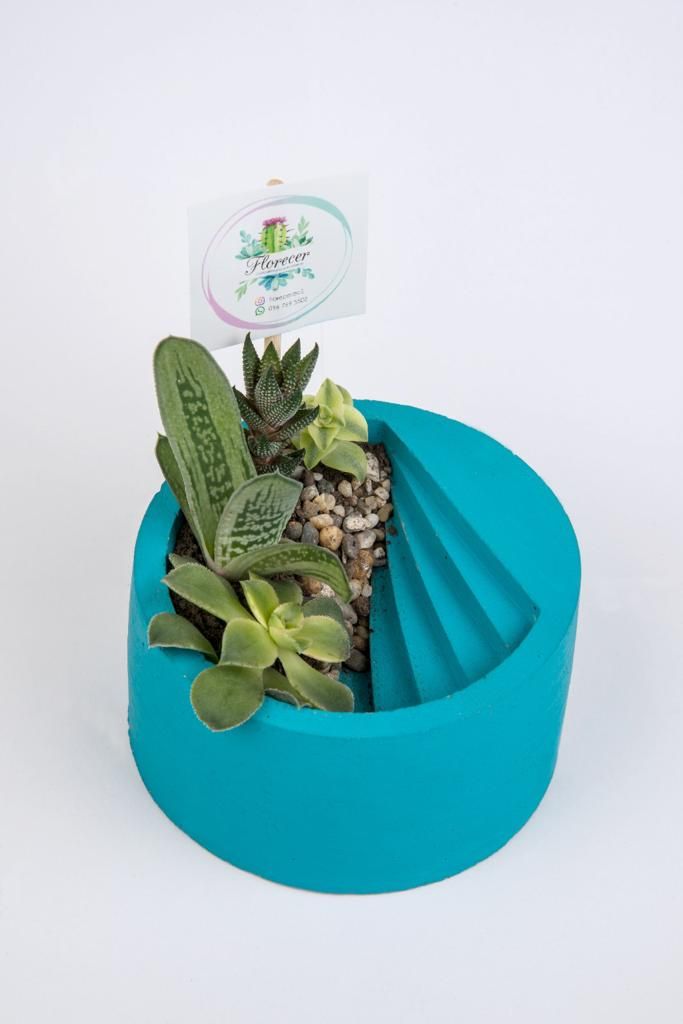 Modelo Jardín 