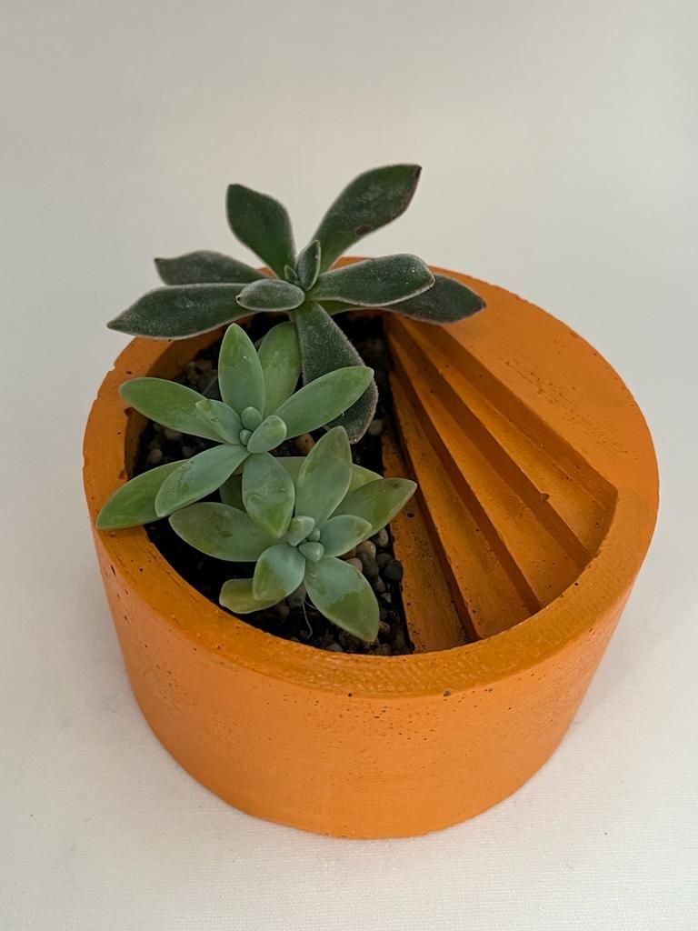 Modelo Jardín 