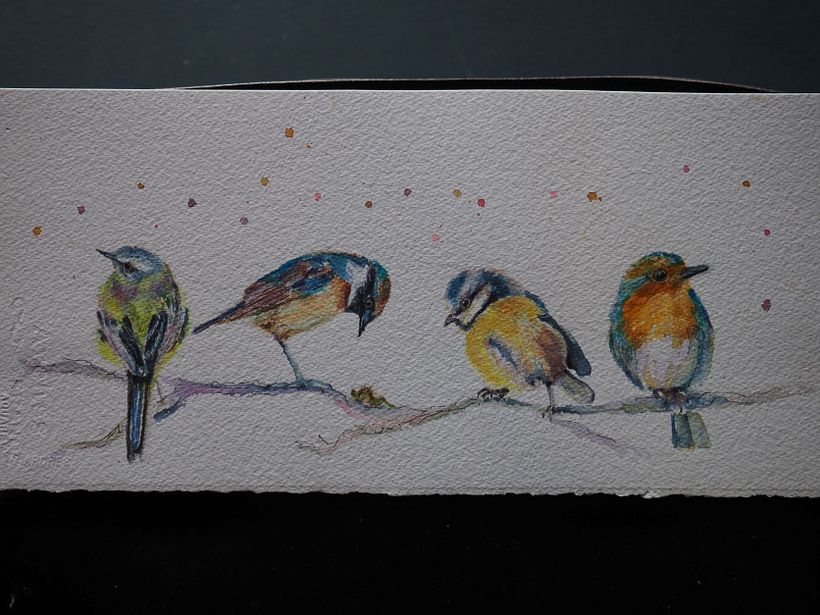 My project for course: Artistic Watercolor Techniques for Illustrating Birds 1