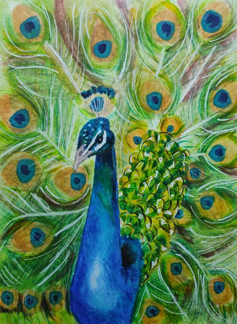 My project for course: Artistic Watercolor Techniques for Illustrating Birds 3