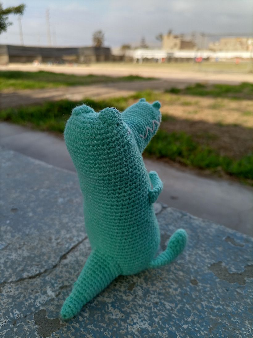 Mi proyecto del curso: Crochet: crea y transforma tus amigurumis 5