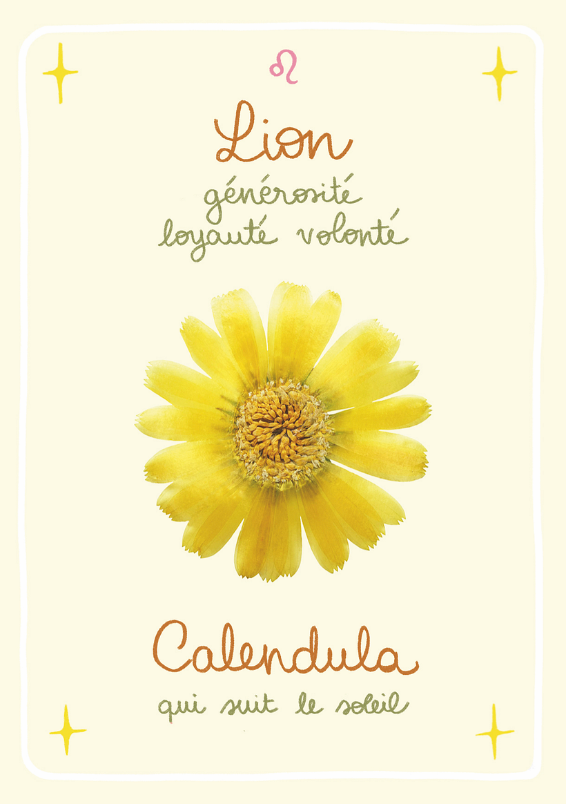 Lion, signe de Feu