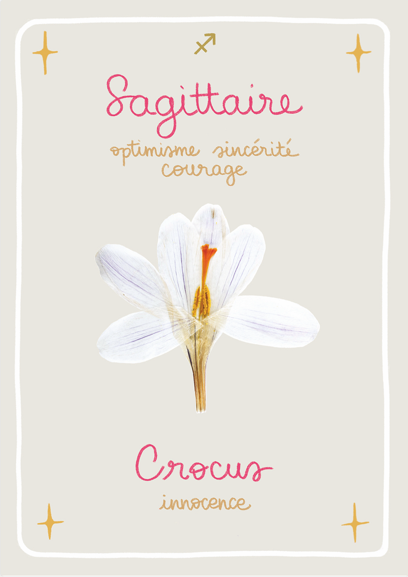 Sagittaire, signe de Feu