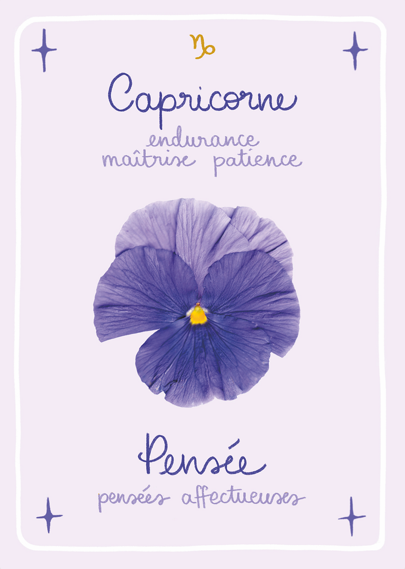 Capricorne, signe de Terre