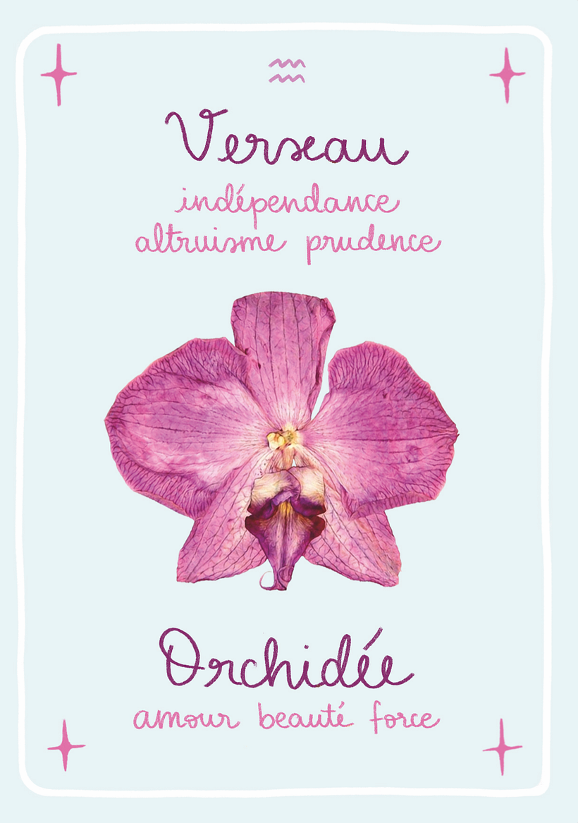 Verseau, signe d'Air