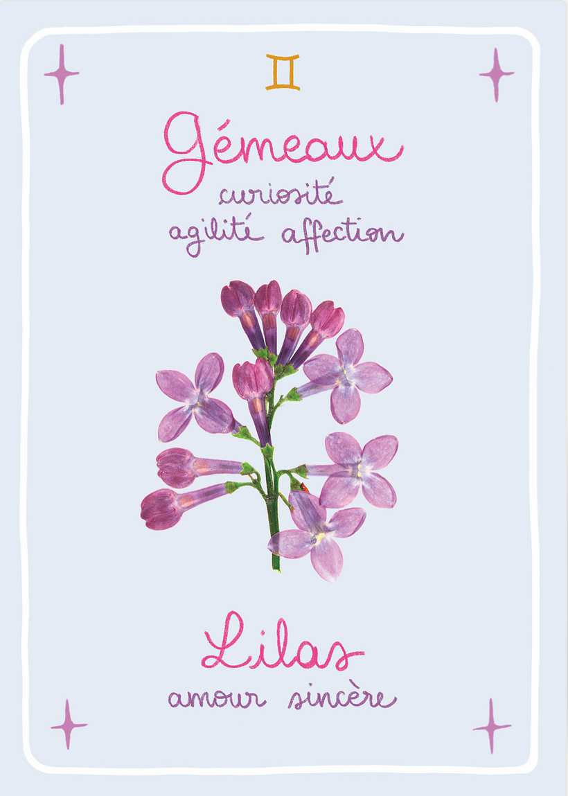 Gémeaux, signe d'Air