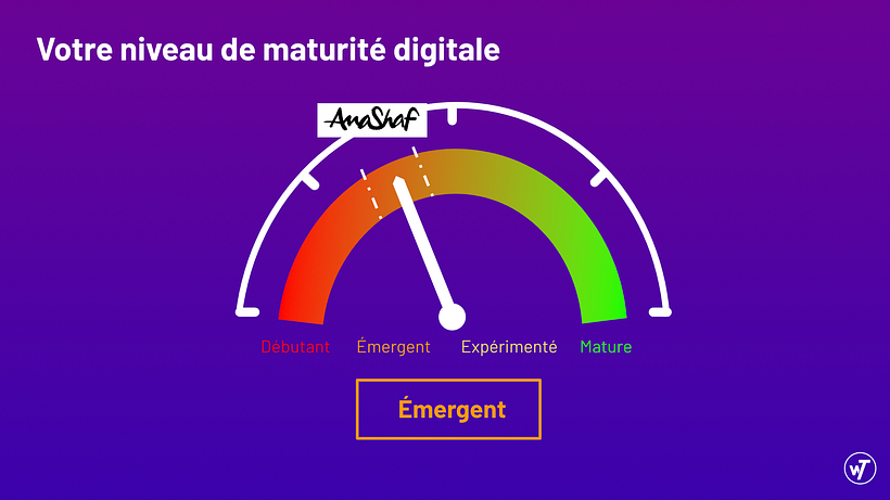 Audit de maturité digitale AnaShaf