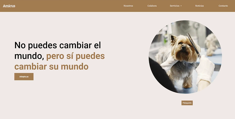 Mi proyecto del curso: Introducción al Desarrollo Web Responsive con HTML y CSS 6