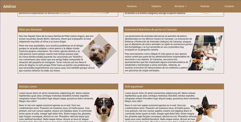 Mi proyecto del curso: Introducción al Desarrollo Web Responsive con HTML y CSS 7
