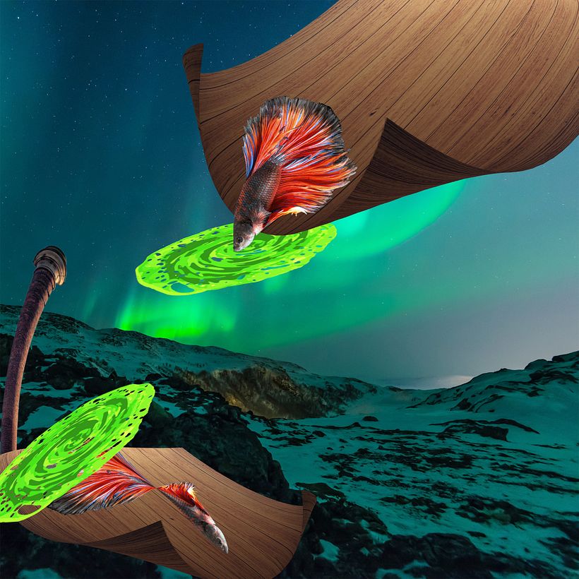 Transformaciones Creativas 2