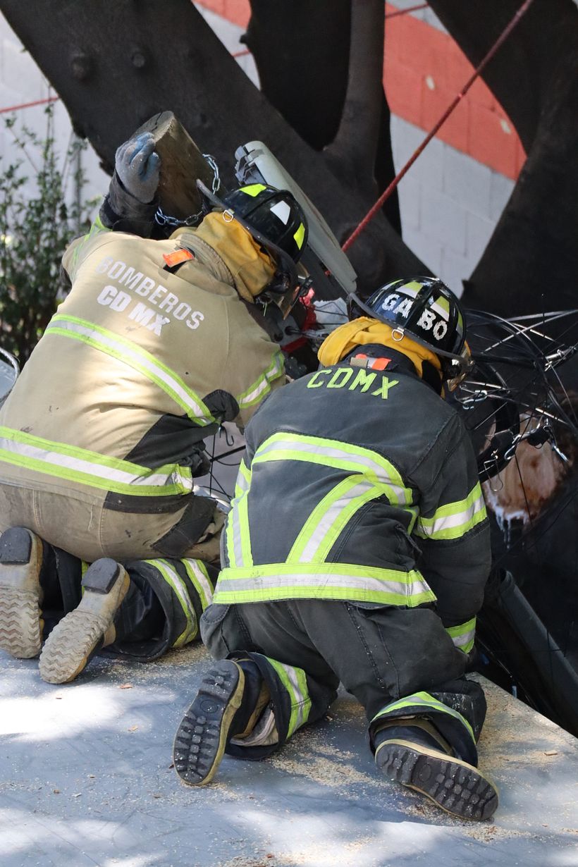 Mi proyecto del curso: Introducción a la fotografía digital 1