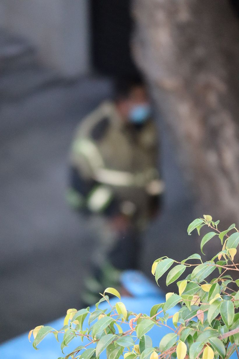 Mi proyecto del curso: Introducción a la fotografía digital 2