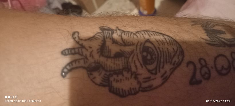 Mi proyecto del curso: Tatuaje para principiantes 2