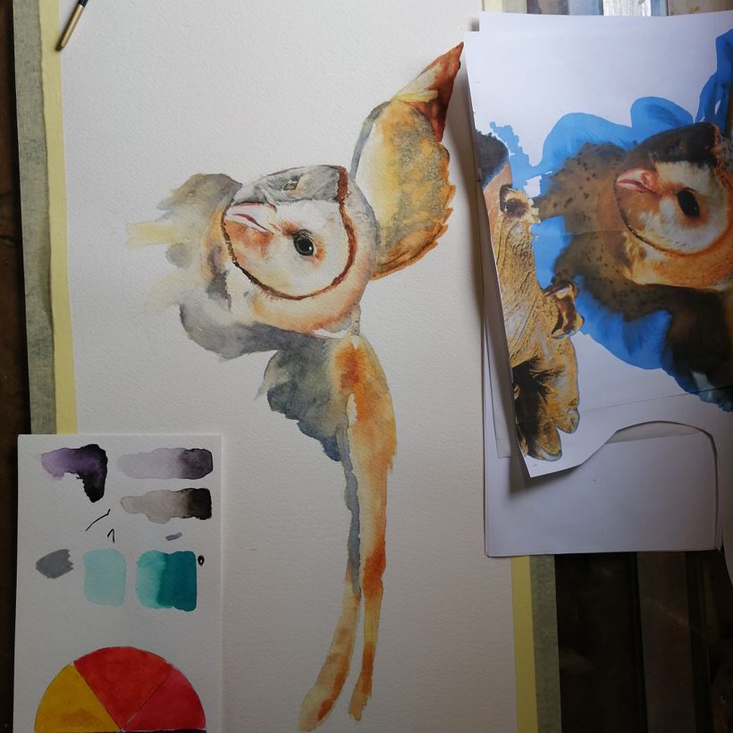 This little owl was so much fun to paint. I used my own reference image from a visit to a bird rehab center near us.