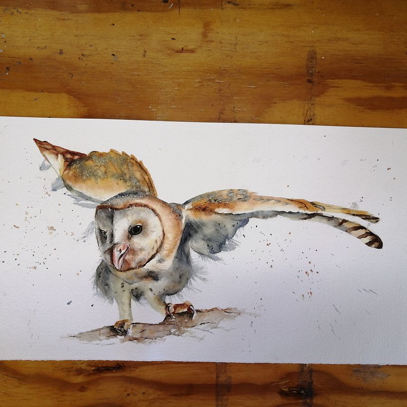 My project in Artistic Watercolor Techniques for Illustrating Birds course 2