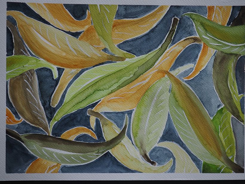 My Colours harmonise with me and make me feel nurtured.
