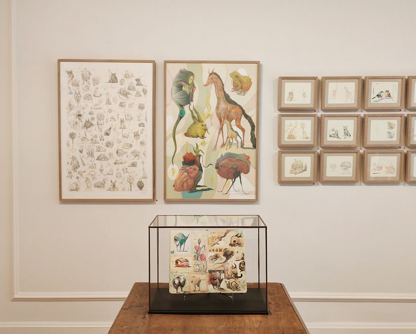 "Arquitomía" solo show