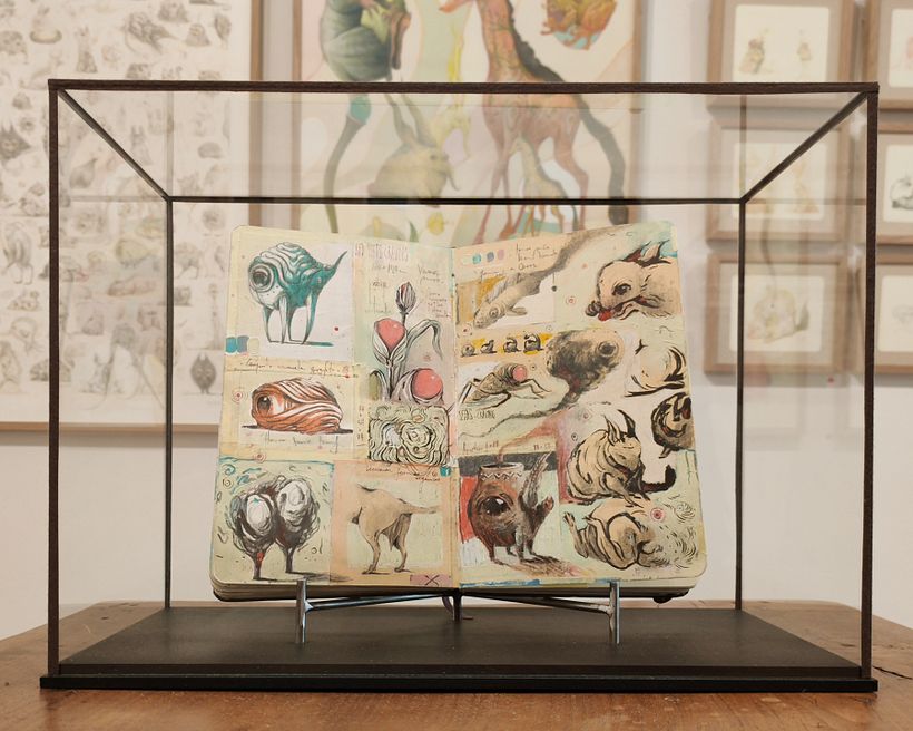 Detalle de la vitrina